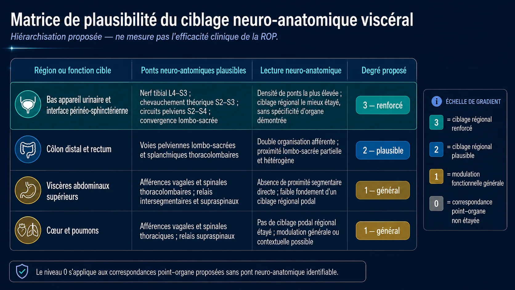 Tableau classant le bas appareil urinaire et l’interface périnéo-sphinctérienne au degré 3, le côlon distal et le rectum au degré 2, les viscères abdominaux supérieurs ainsi que le cœur et les poumons au degré 1.