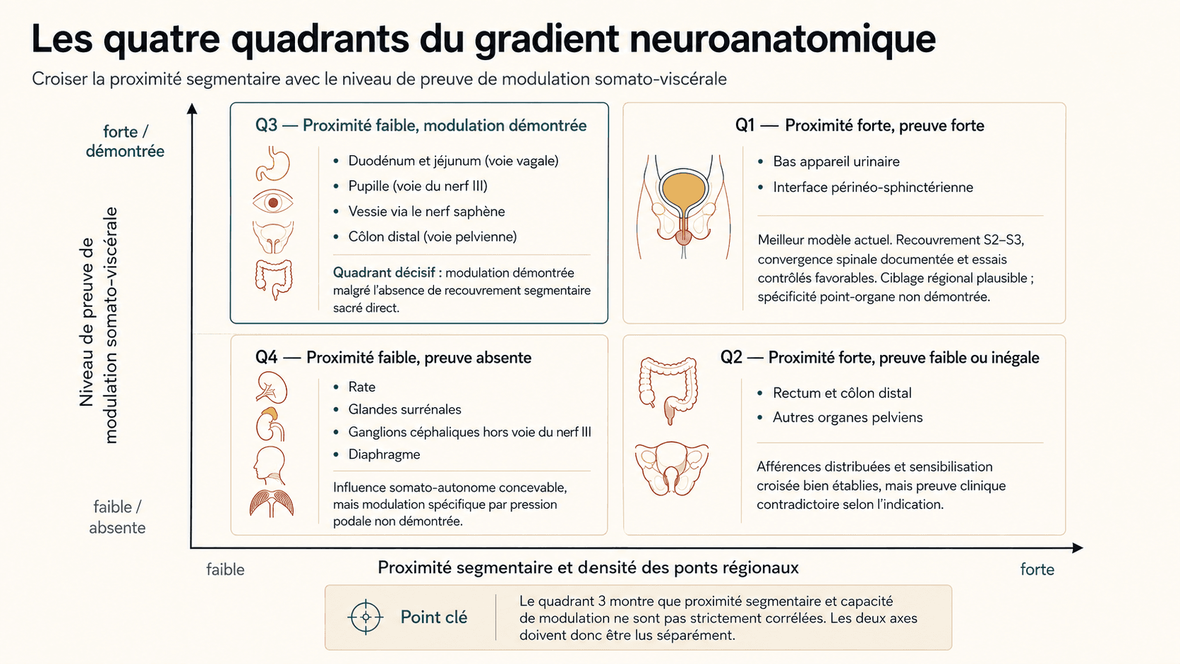 Les quatre quadrants du gradient neuroanatomique : proximité segmentaire et niveau de preuve de modulation somato-viscérale.